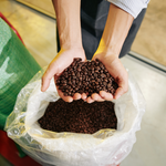 Load image into Gallery viewer, Organic Coffee Beans - ZenDog Original Blend

